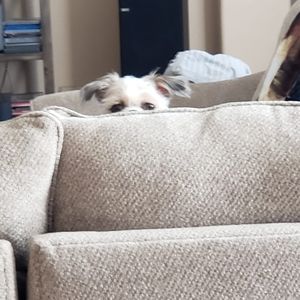 Meet your Posher, Terri